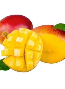 Mangue extra