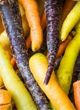 Carotte couleur