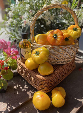 Tomate ancienne : Ananas