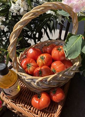 Tomate ancienne : Marmande