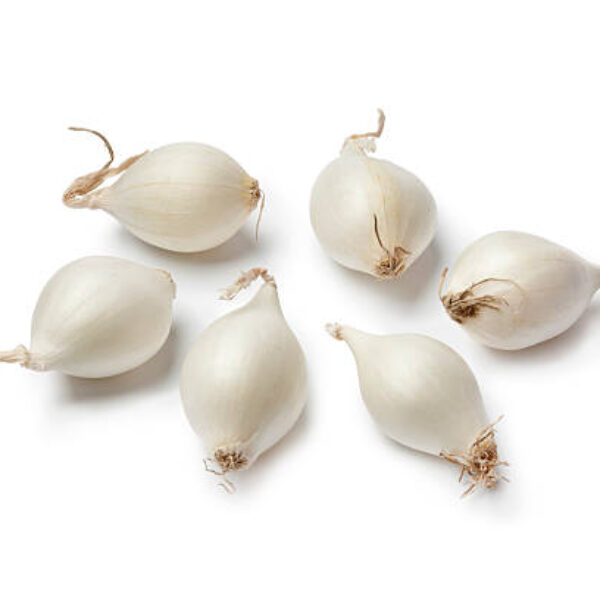 Small white Pearl onions often used to be pickled