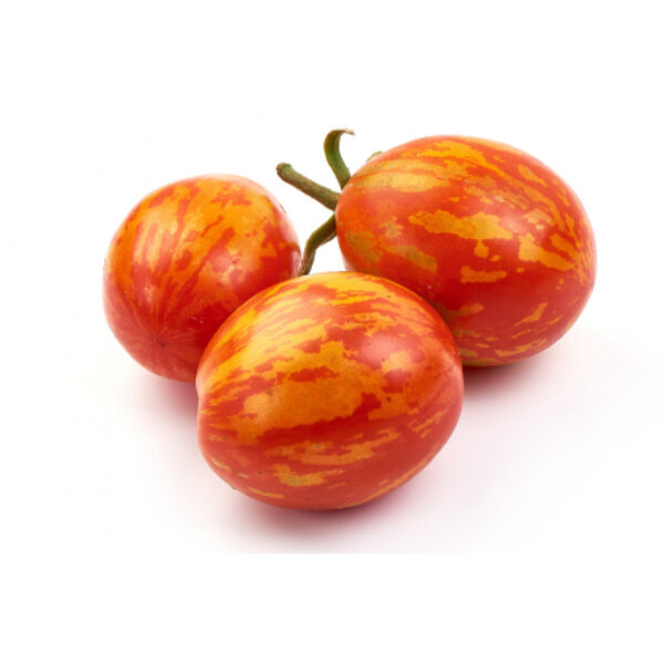 Tomate ancienne : Red Zebra