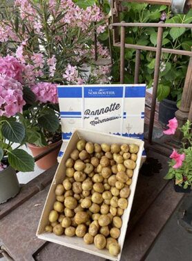 Bonnotte de Noirmoutier : Grenaille